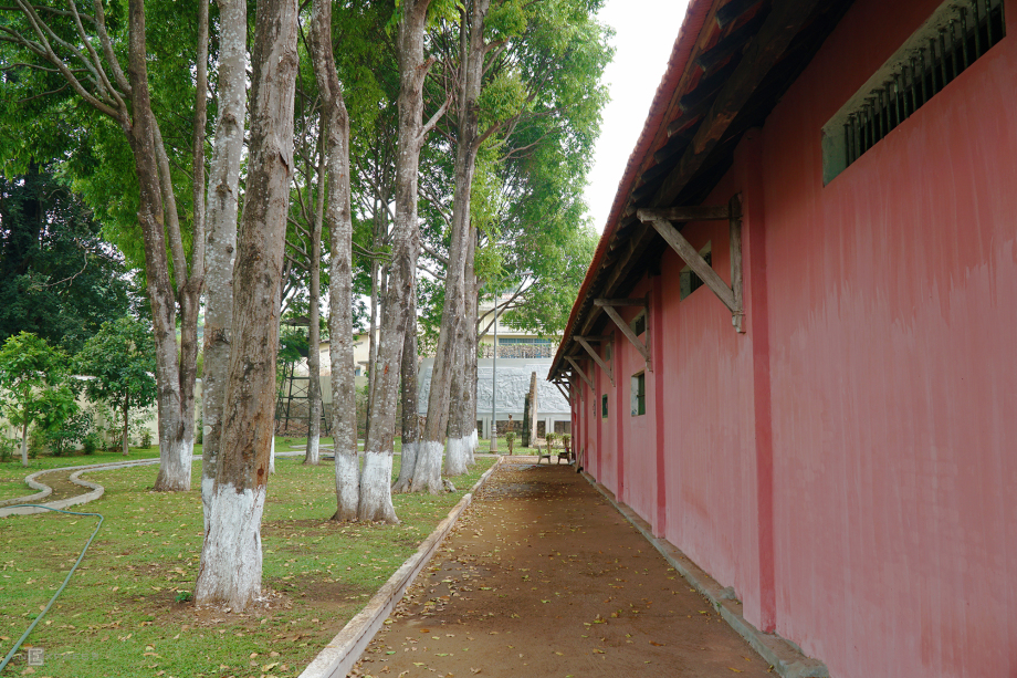 Nhà Lao Pleiku